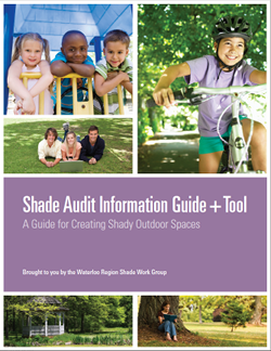 Shade Audit Tool